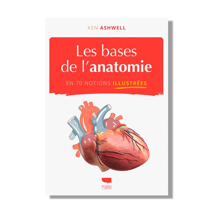 LES BASES DE ANATOMIE ILLUSTREES