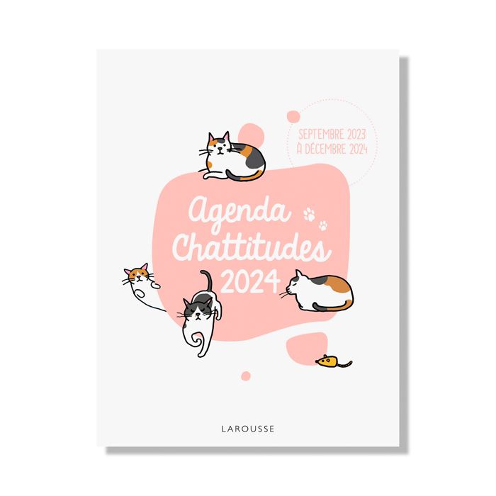 AGENDA CHATTITUDES 2024