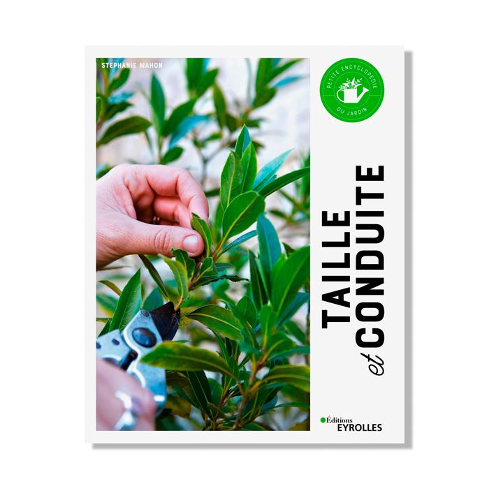 TAILLE ET CONDUITE