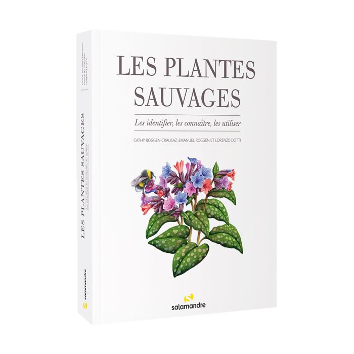 LES PLANTES SAUVAGES