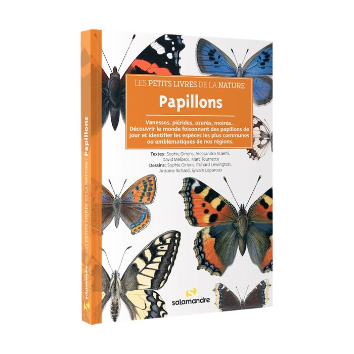 PAPILLONS PETITS NATURE