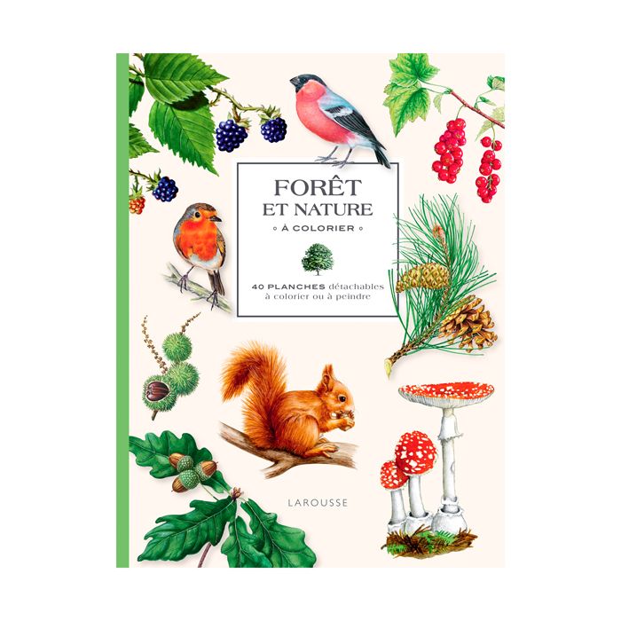 FORET NATURE COLORIER NO RETURN<10251390
