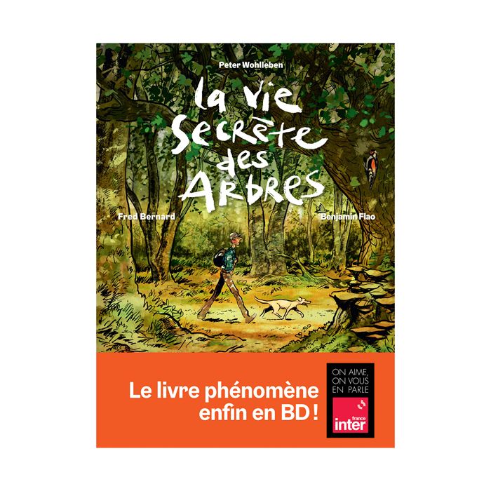 VIE SECRETE ARBRES EN BD WOHLLEBEN