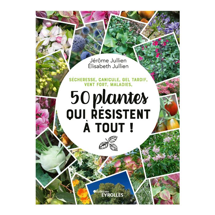 50 PLANTES QUI RESISTENT A TOUT