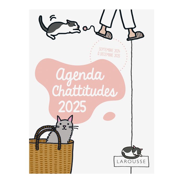 AGENDA CHATTITUDES 2025
