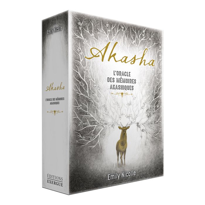 COFFRET AKASHA ORACLE MEMOIRE AKASHIQUES