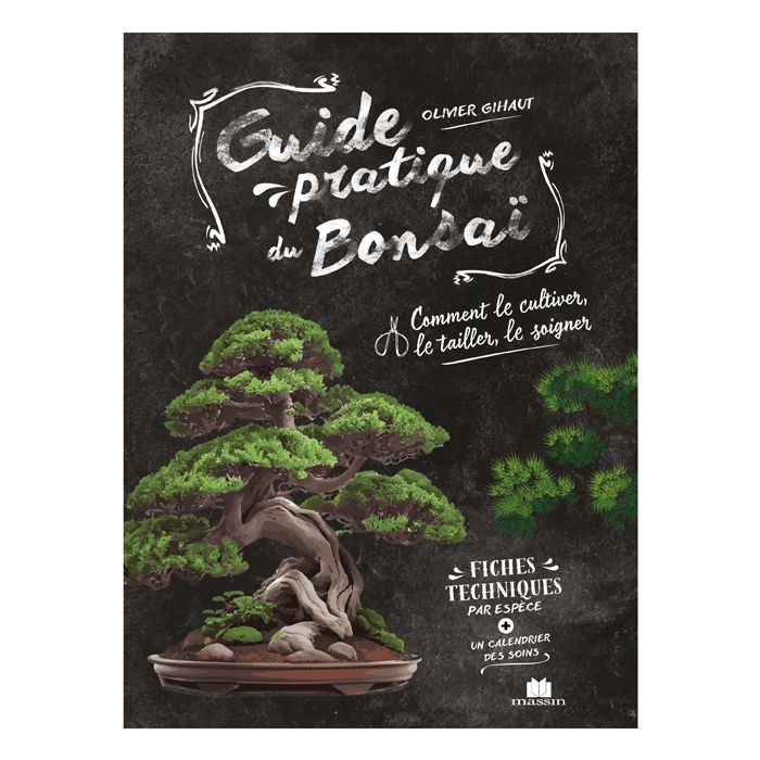 GUIDE PRATIQUE DU BONSAI