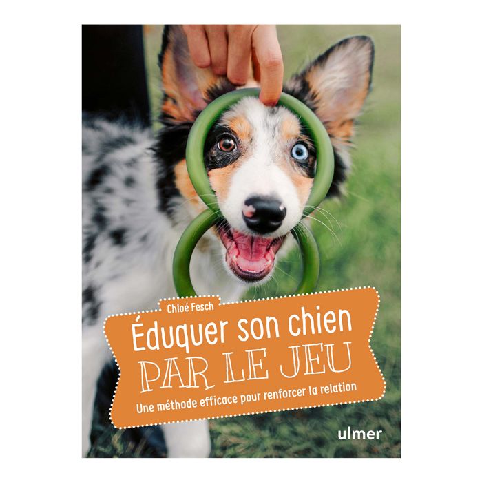 EDUQUER SON CHIEN PAR LE JEU