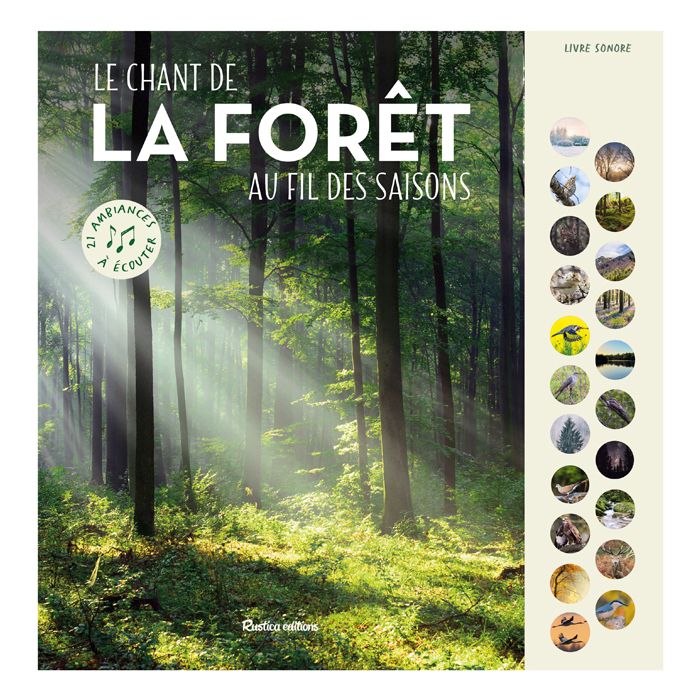 LE CHANT DE LA FORET AU FIL DES SAISONS