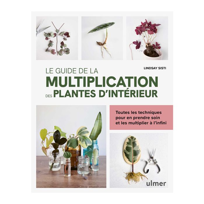 GUIDE MULTIPLICATION PLANTES INTERIEUR