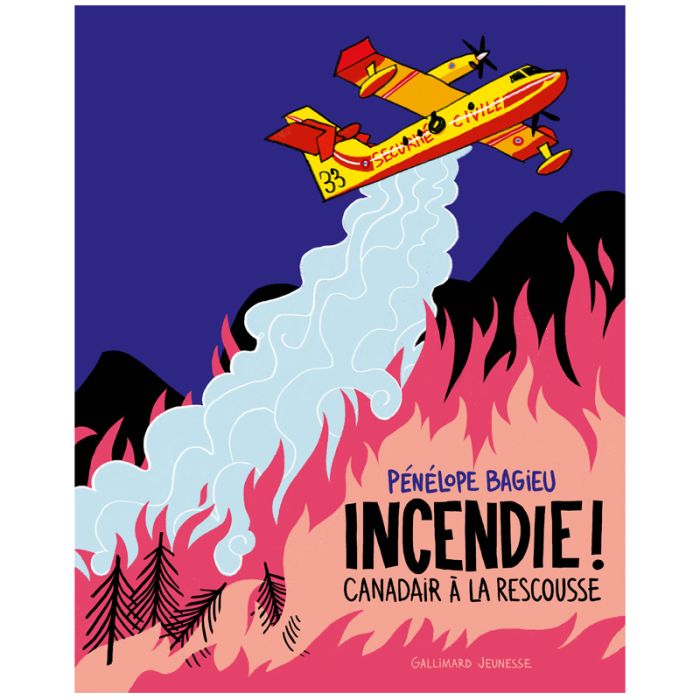 192 INCENDIE CANADAIRS RESCOUSSE BAGIEU