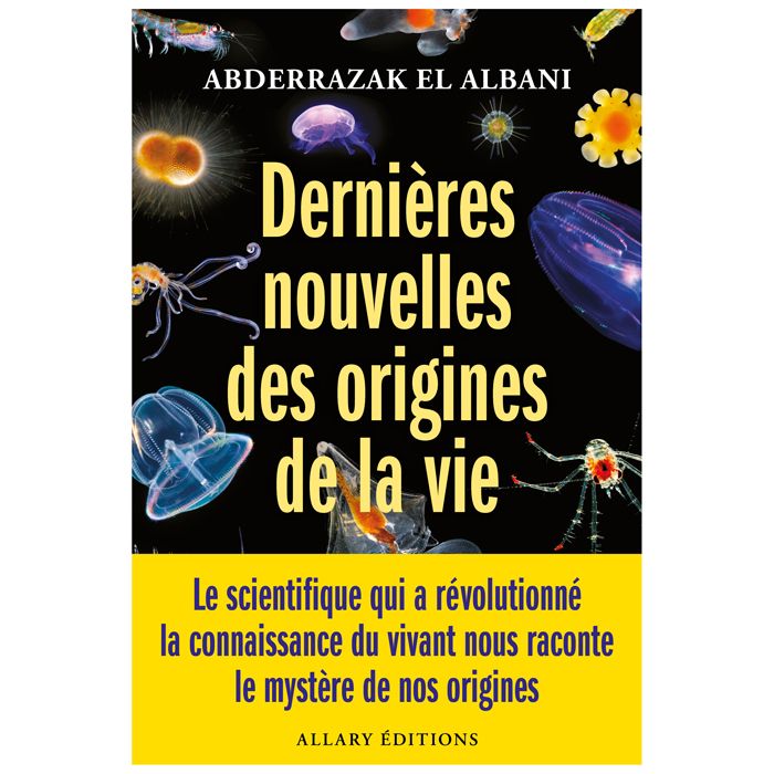 192 DERNIERES NOUVELLES ORIGINIES DE VIE