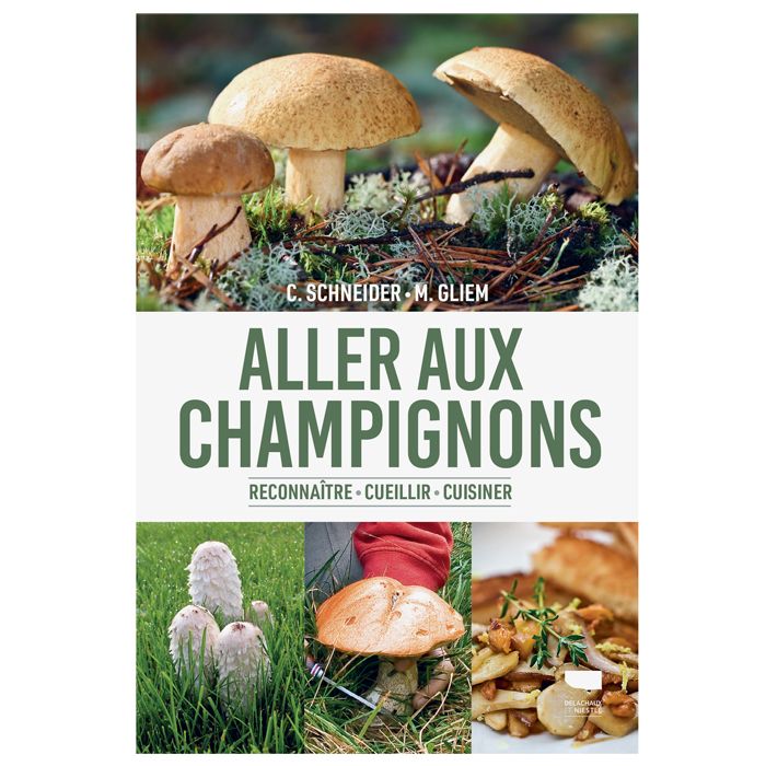 ALLER AUX CHAMPIGNONS NO RETURN<10191870