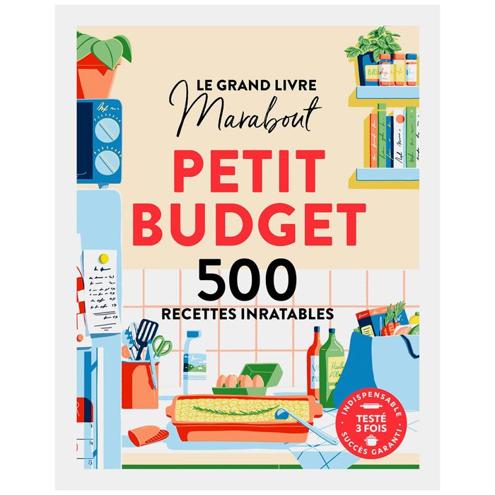 500 RECETTES PETIT BUDGET