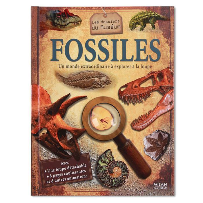 FOSSILES