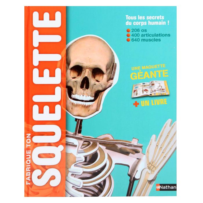 FABRIQUE TON SQUELETTE