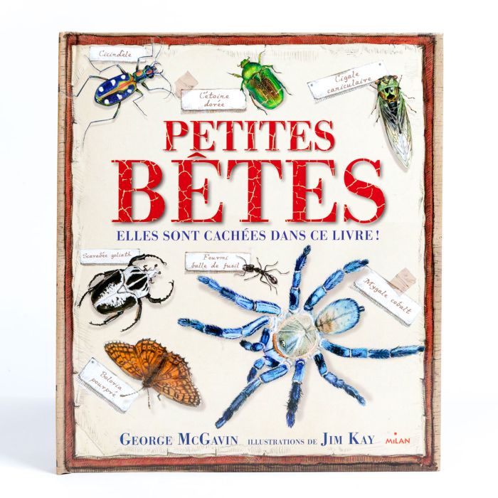 PETITES BETES