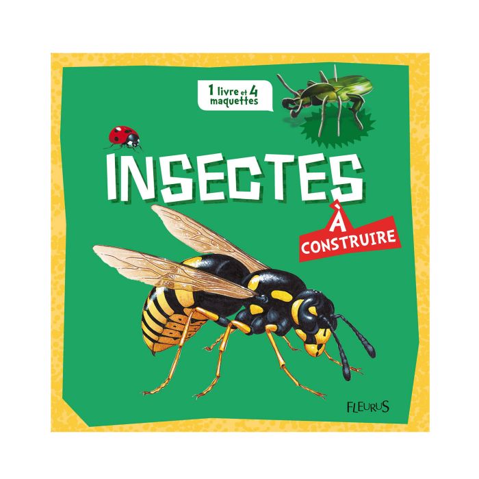INSECTES A CONSTRUIRE