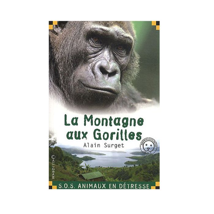 LA MONTAGNE AUX GORILLES NO RETURN
