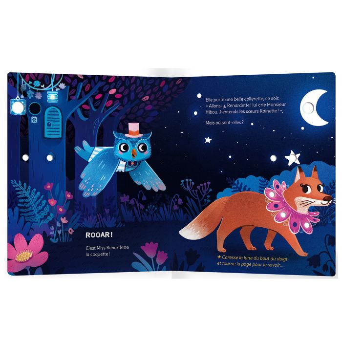 MONSIEUR HIBOU ET LA FORET