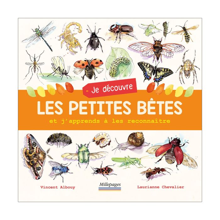 JE DECOUVRE LES PETITES BETES >11202940