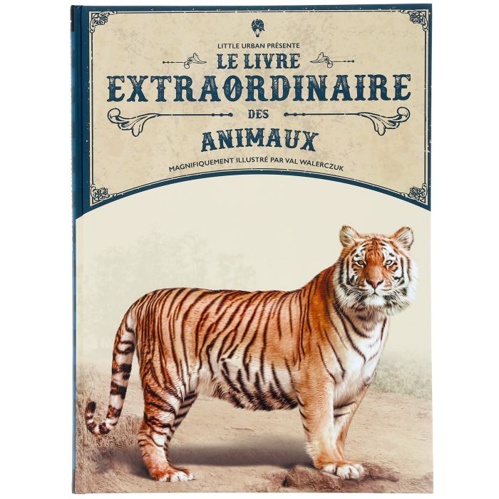 LIVRE EXTRAORDINAIRE ANIMAUX NO RETURN