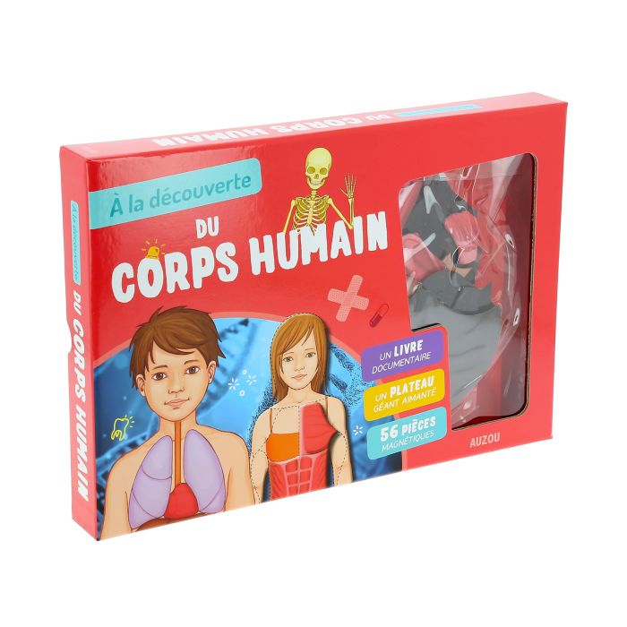 MON CORPS HUMAIN A RECONST <11184890