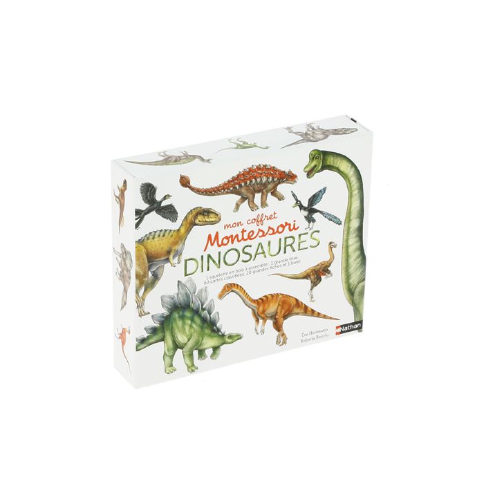 COFFRET MONTESSORI DINOSAURES