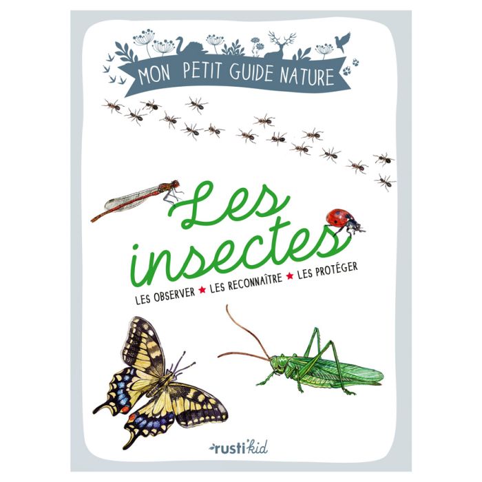 LES INSECTES >11206650