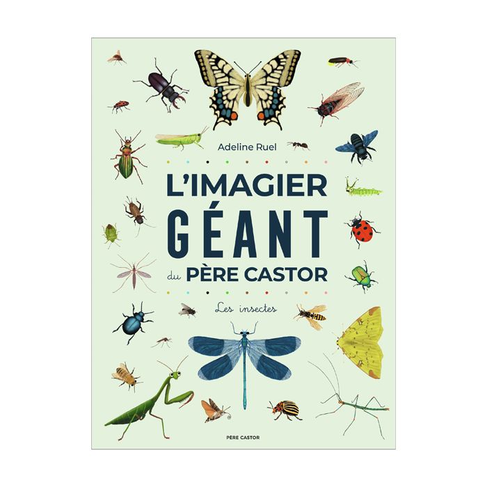 IMAGIER GEANT DU PERE CASTOR INSECTES