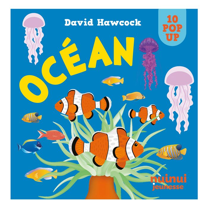 OCEAN POP UP