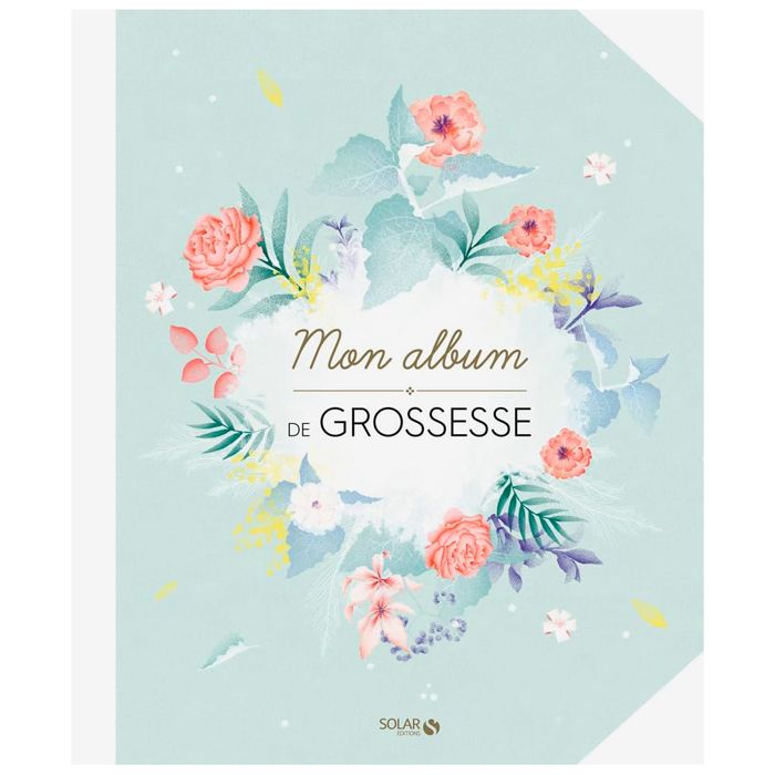 MON ALBUM DE GROSSESSE <11204220