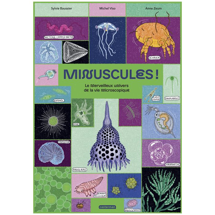 MINUSCULES