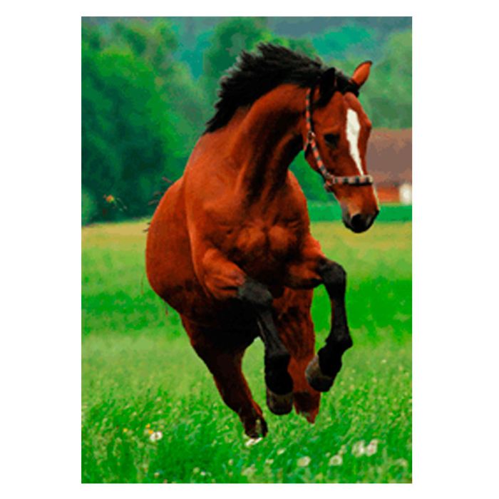 CARTE CHEVAL BRUN 15x10cm