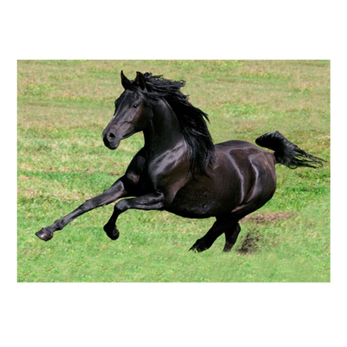 CARTE CHAVEAL NOIR AU GALOP 14,8X10