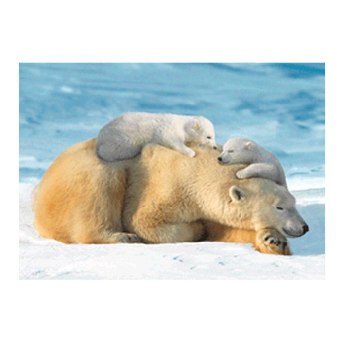 CARTE OURS POLAIRE +PETIT 14,8X10,5