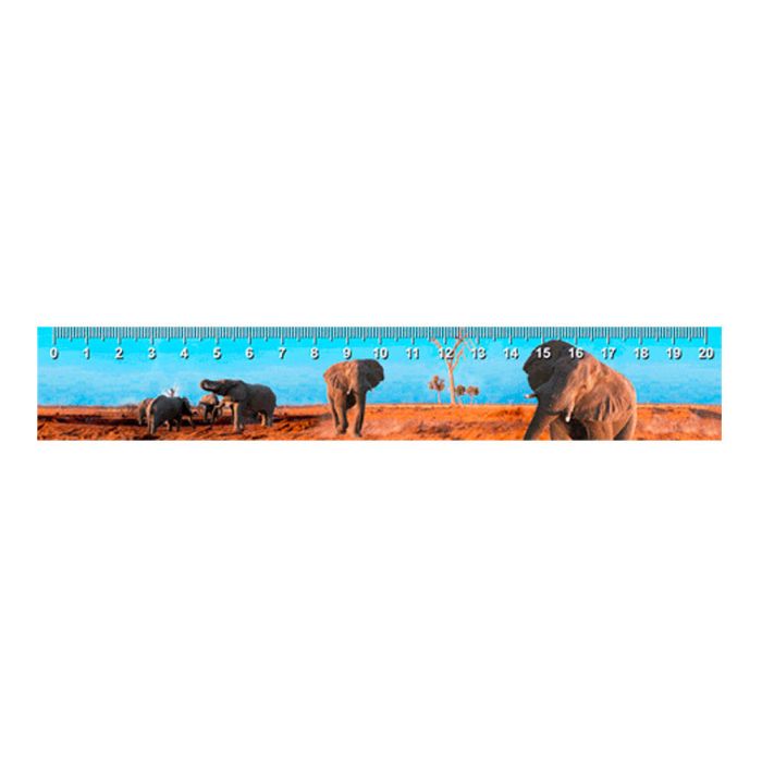 REGLE ELEPHANT BOSTWANA 21X3,5