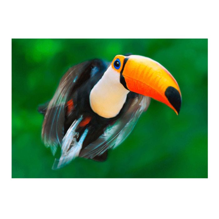 CARTE TOUCAN EN VAL 14,8X10,5