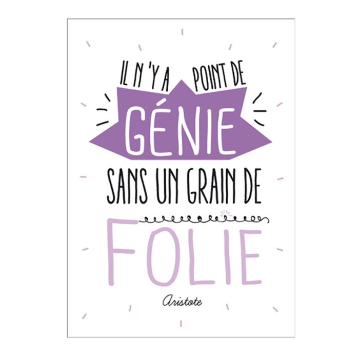 CARTE IL N'Y A PAS DE GENIE SANS FOLIE