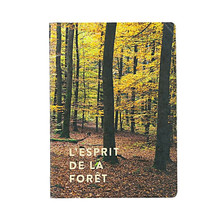 CARNET A5 L'ESPRIT DE LA FORET
