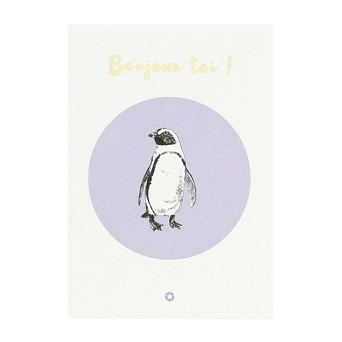 CARTE ECOLO PINGUIN BONJOUR TOI