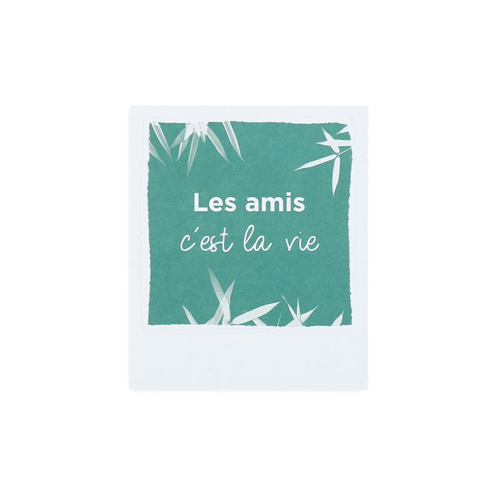 CARTE LES AMIS C'EST LA VIE