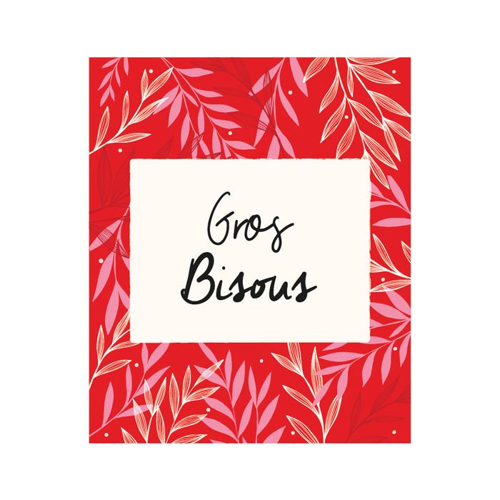 CARTE GROS BISOUS