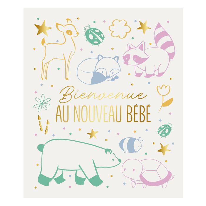 CARTE BIENVENUE NOUVEAU BB 2024 10X12CM