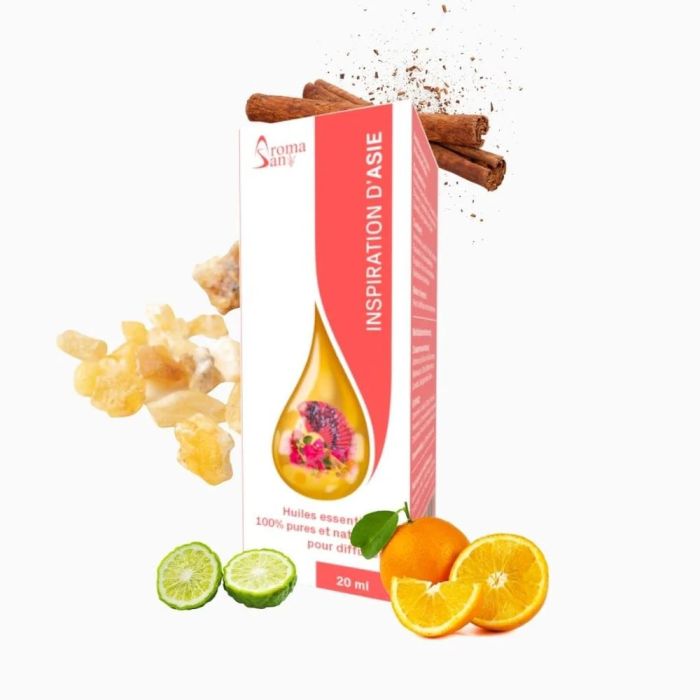 SYNERGIE INSPIRATION D ASIE