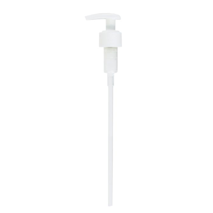 POMPE P2000 24/410