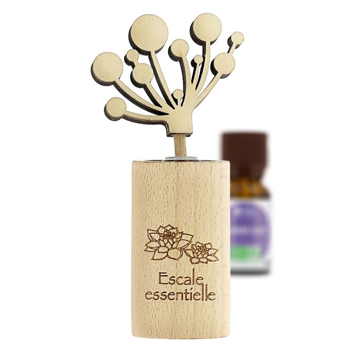 DIFFUSEUR BOIS PAR CAPILLARITE FTY-06