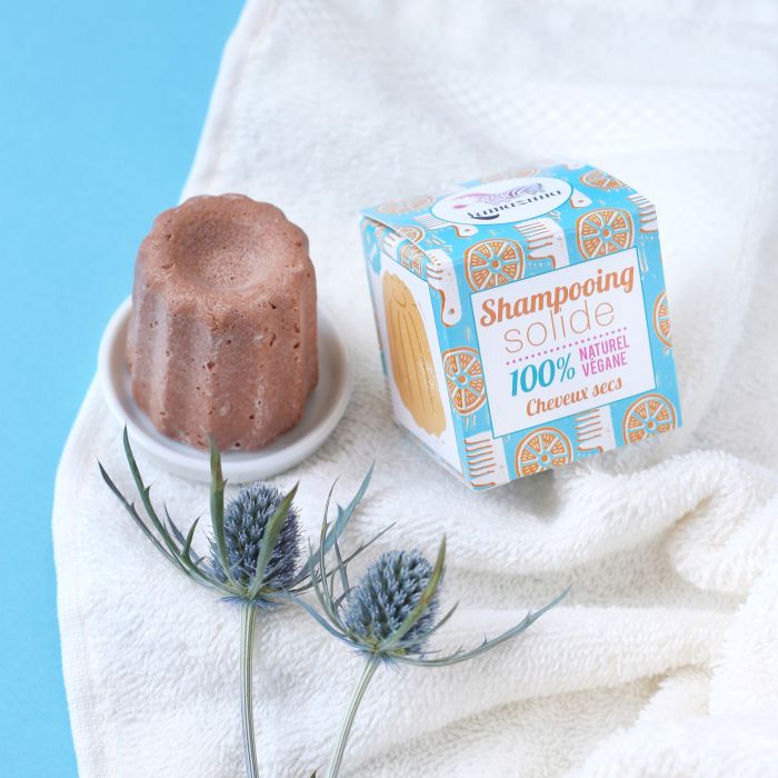 SHAMPOING SOLIDE CHEVEUX SECS