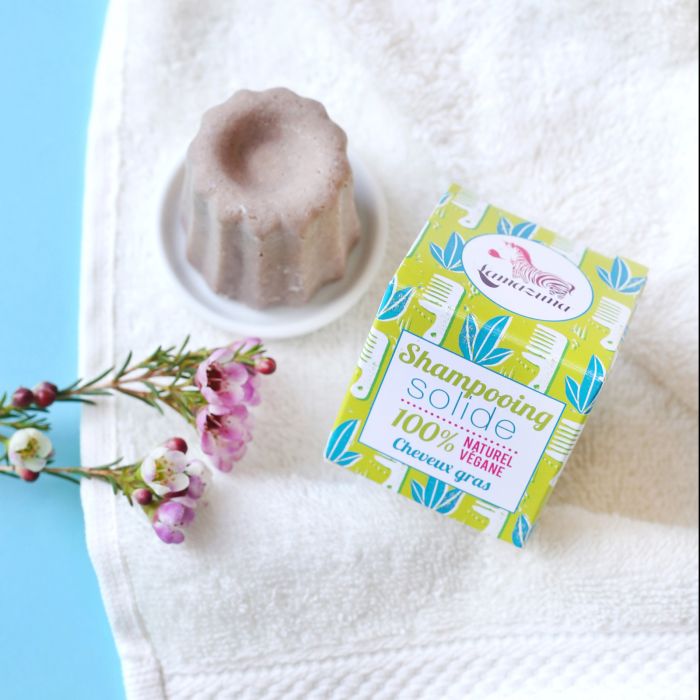 SHAMPOING SOLIDE CHEVEUX GRAS