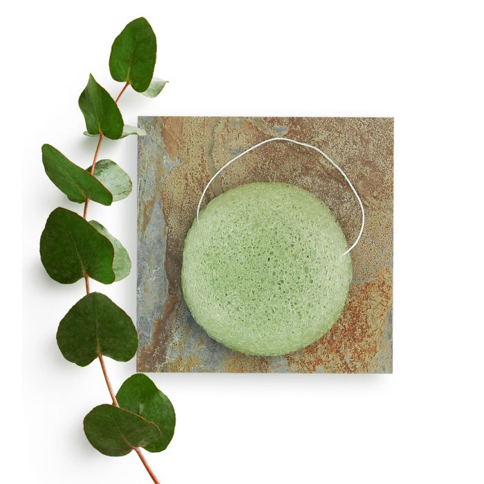 EPONGE KONJAC THE VERT